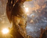 predatorsnew (49)